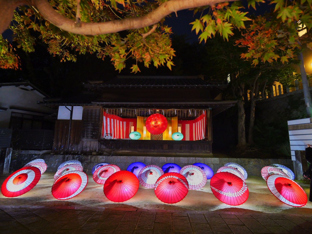 夜の境内に、明かりの入った赤や白の和傘がずらりと並ぶ